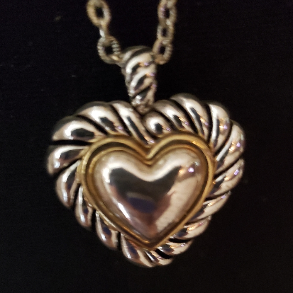 Heart two toned heart charm on chain